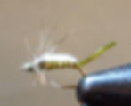 Split Shuck Emerger - olive