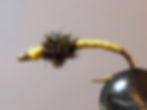 Peacock & Yellow Larva