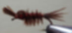 Mahogany Nymph