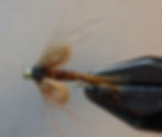 Buddy Wing Nymph - Straight hook