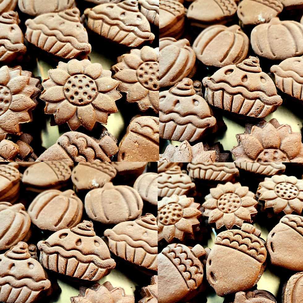 Low Sugar Fall Cookie Crackers