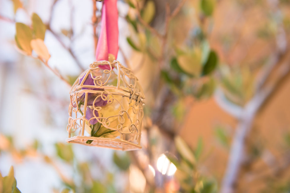 Thumbnail: Birdcages