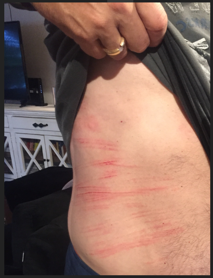 I Fell On A Manatee Today 