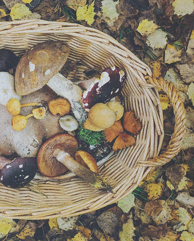 Natural healing foods