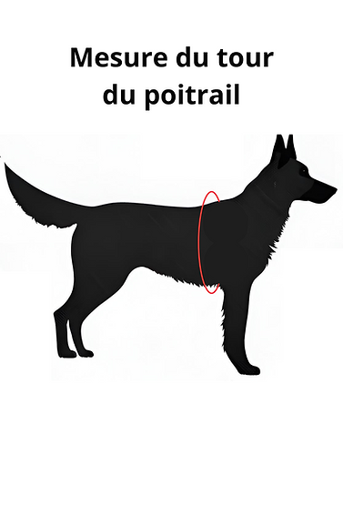 Mesure du poitrail.png