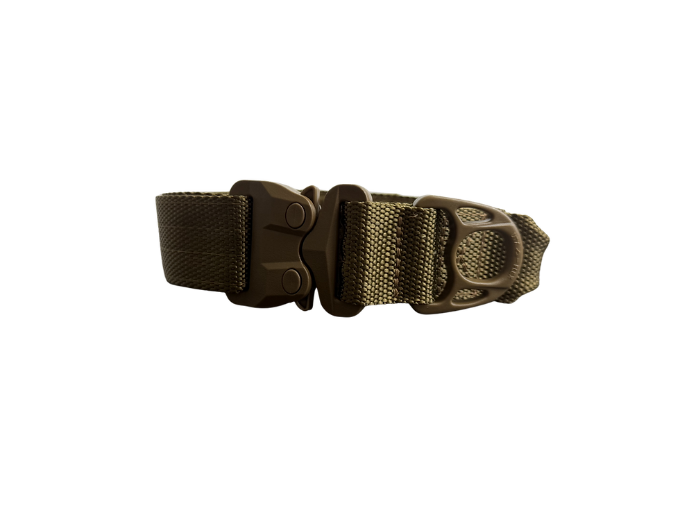 Miniature : Collier k9