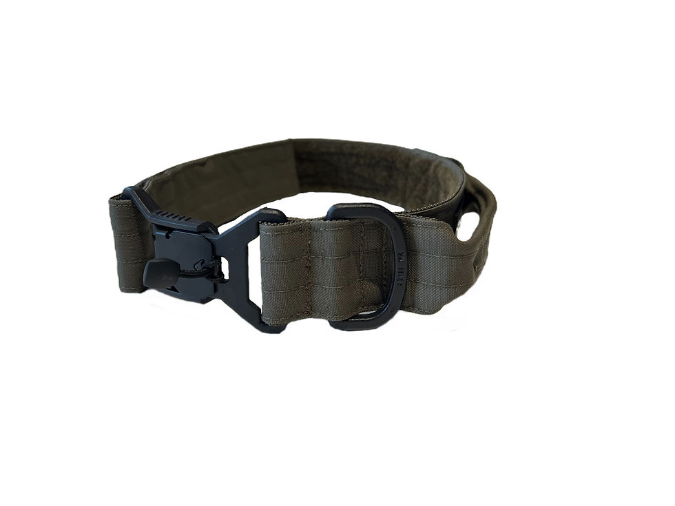 Miniature : Collier tactique pour chien