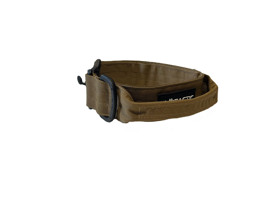 Miniature : Collier tactique pour chien