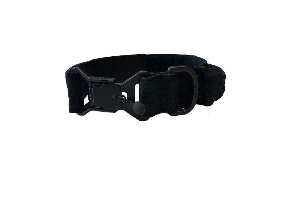 Miniature : Collier tactique pour chien