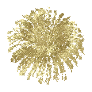fireworks-animation-4.gif