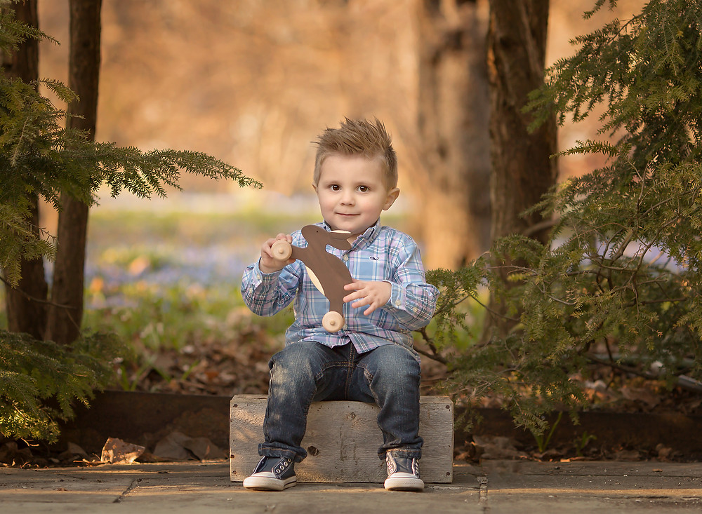 Grosse Pointe Photographer