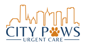 City Paws Emergency Care