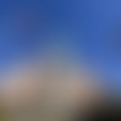 Understanding American etiquette at a Las Vegas show