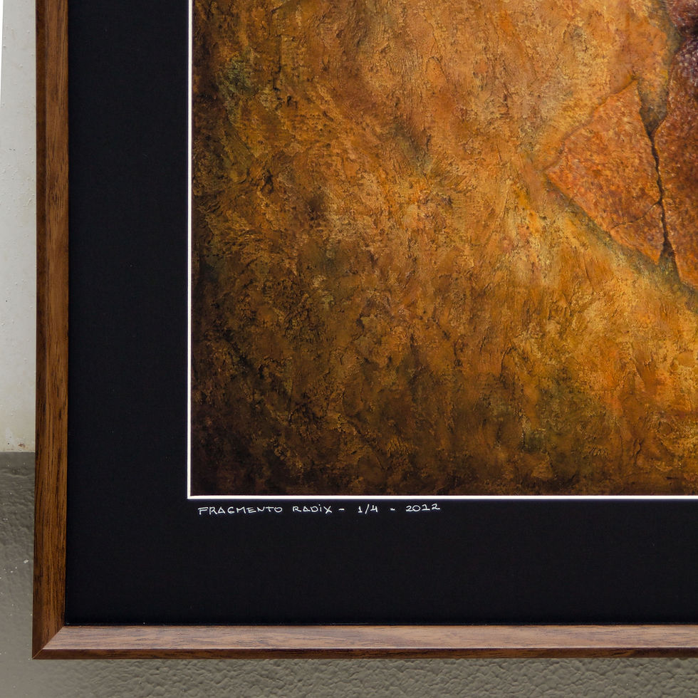 Thumbnail: FRAGMENTO RADIX -  Fine Art Print