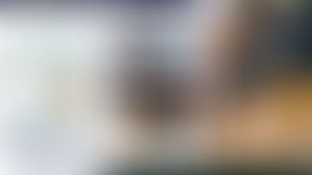 [麸质分解乳酸菌] 三层解析Gluten cook