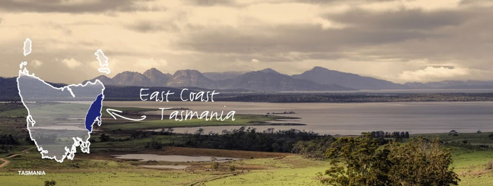 nearby attractions.jpg