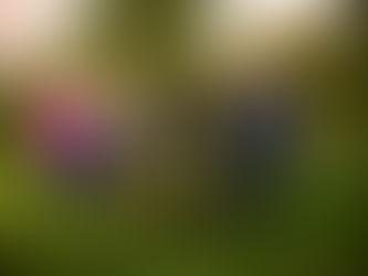 SAVE THE DATE WEINFRÜHLING 2023