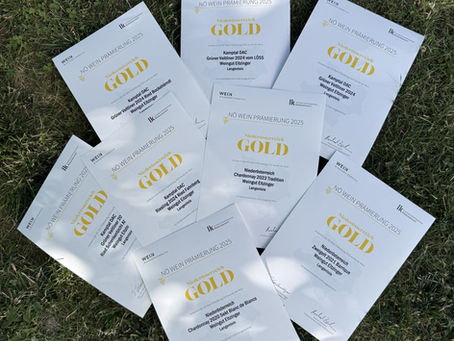 8x NÖ GOLD für unsere Weine  & 2 Weine für den SALON Österreich nominiert!!  Seid gespannt - Infos in Kürze
