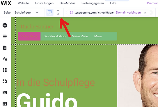 Screenshot Mobile Version wählen.png