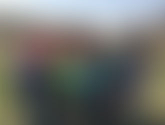 Field Trip and More!