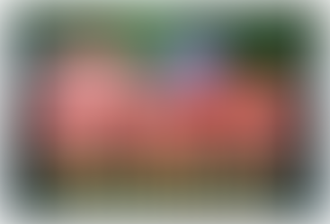 Almost Thanksgiving!