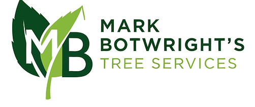 colored-logo - Mark Botwright.jpg