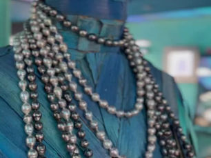 The beginnings of pearl culture and the industrialization of pearls