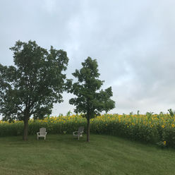 030408F8-8F32-43E7-8344-F875ED5FD1C2.jpeg