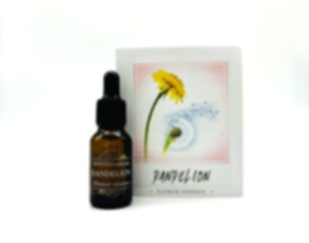 Dandelion Flower Essence
