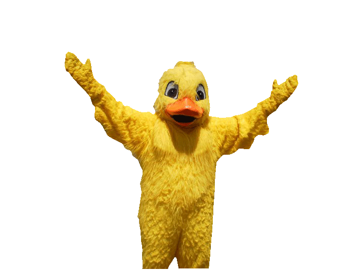 12duckhands_up.gif