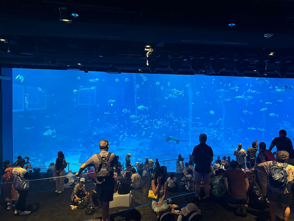 S.E.A. Aquarium