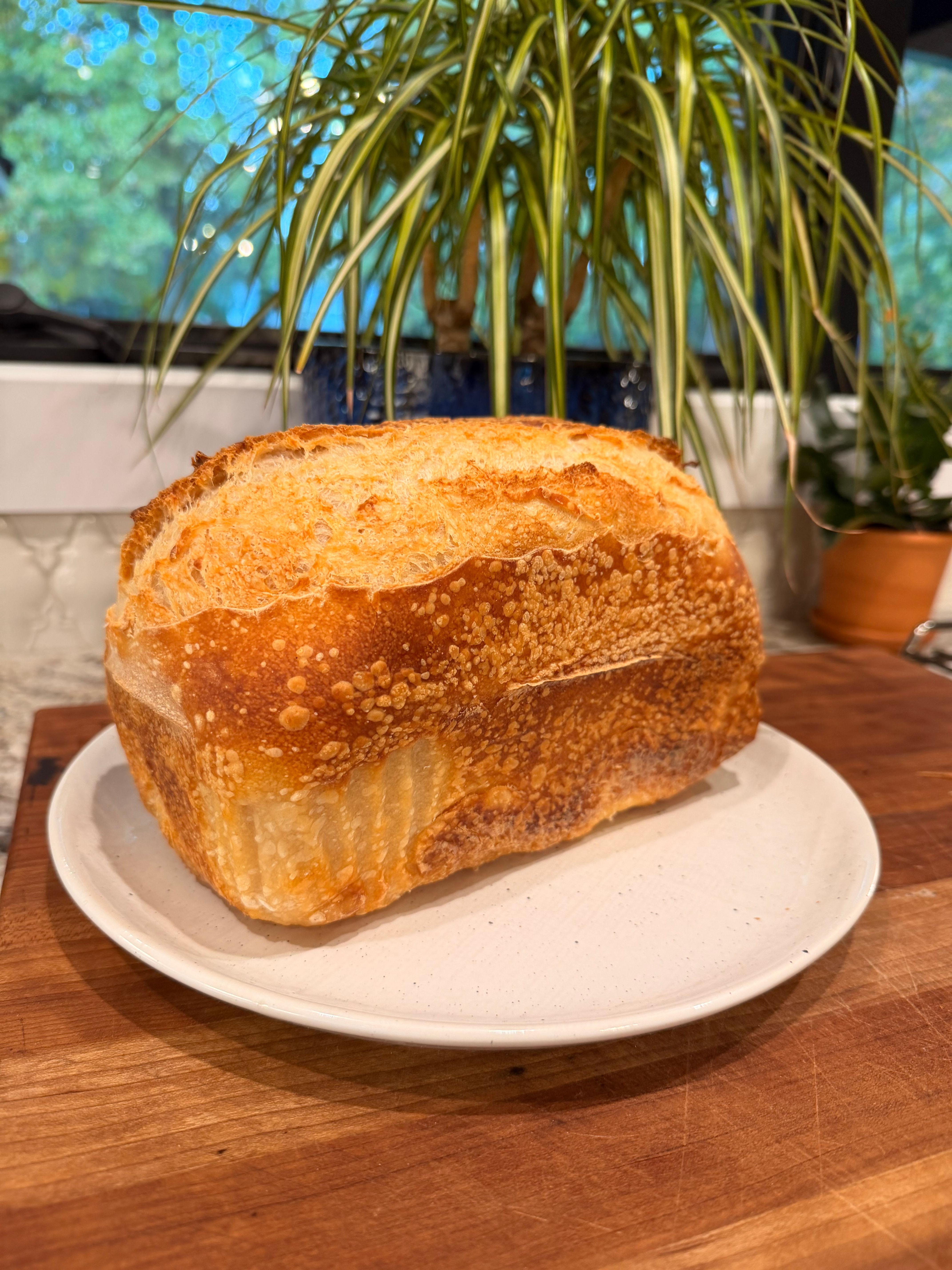 Rustic Sourdough – Artisan Crust, Deep Flavor, Naturally Leavened