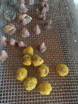 WhatsApp Image 2022-06-23 at 6.04.09 PM (2)