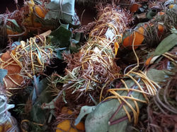 9cfe5d32-cfb8-4e1e-af7e-6cde8ef7cee4