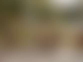 Wat gebeurt er na overlijden?