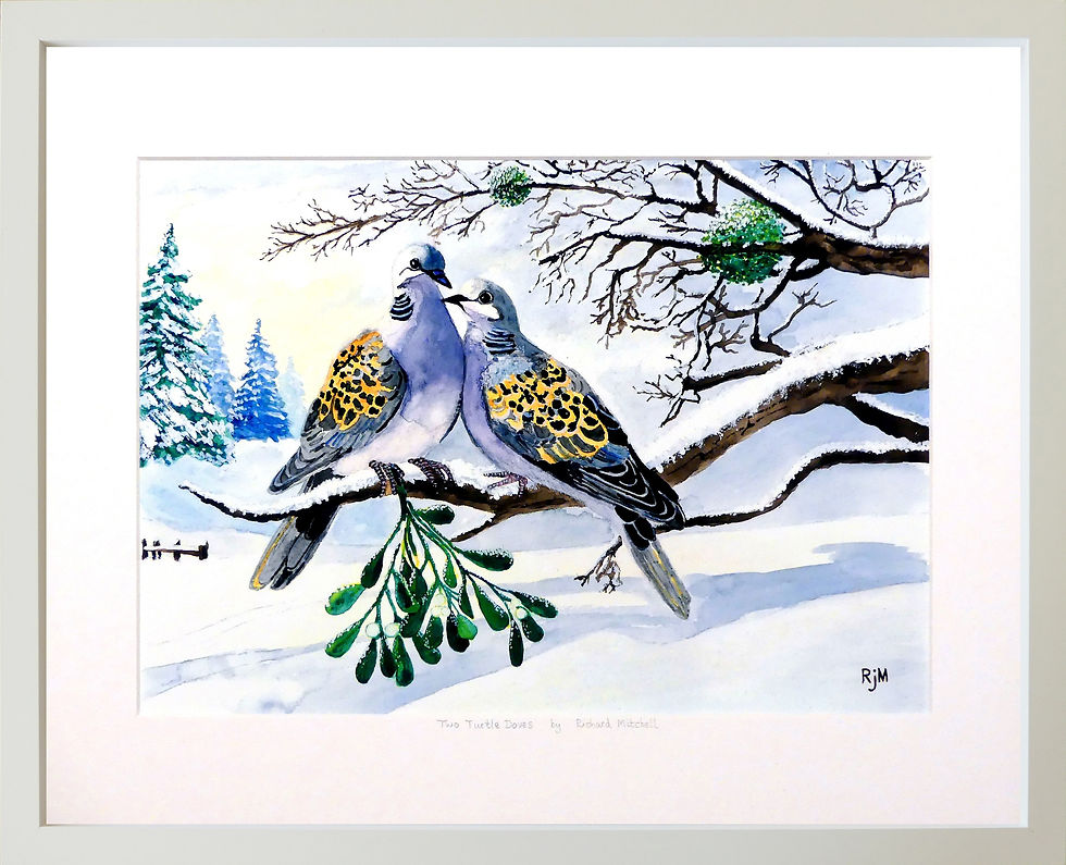 Thumbnail: Two Turtle Doves - Mounted Print