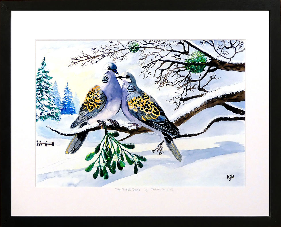 Thumbnail: Two Turtle Doves - Mounted Print