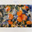Thumbnail: Oranges in Sacramento - Mounted Print
