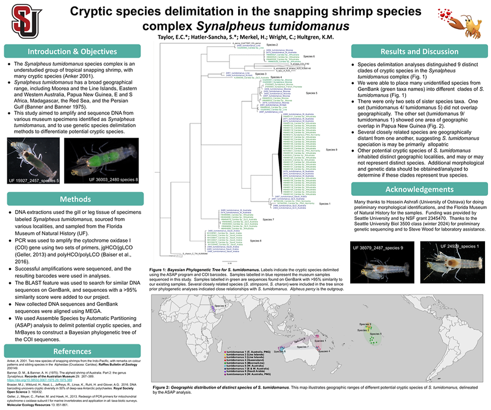 synalpheusposter.png