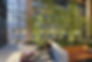 ZGF_Healing Garden.jpg