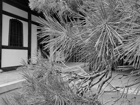 sutra in passage