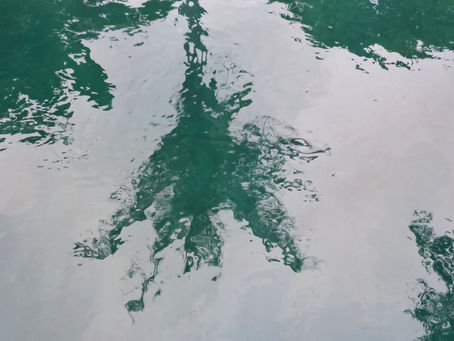 endings and beginnings