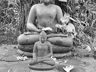 confusion, mother of wisdom