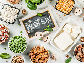 protein.jpeg