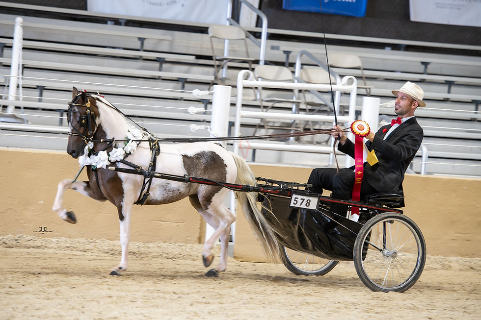 Piece Of Me Barley Legal