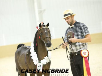 Memories Made Grand. Gallery Of Grands - Piece Of Me Miniatures and Training Center.