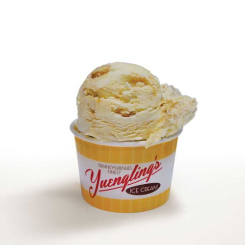 Yuengling's Ice Cream Online Cinnamon Churro Pint