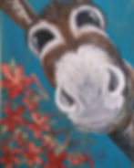 Donkey Collection