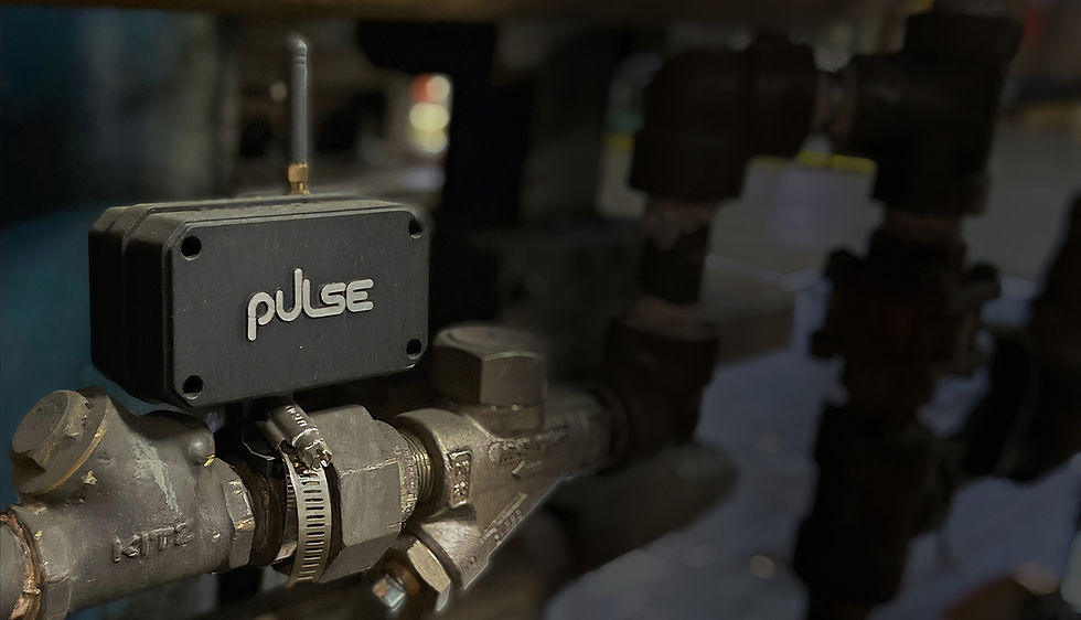 PulseSolutionMonitorFade72.jpg