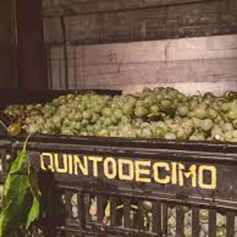 Virtual Winter Tasting of Quintodecimo